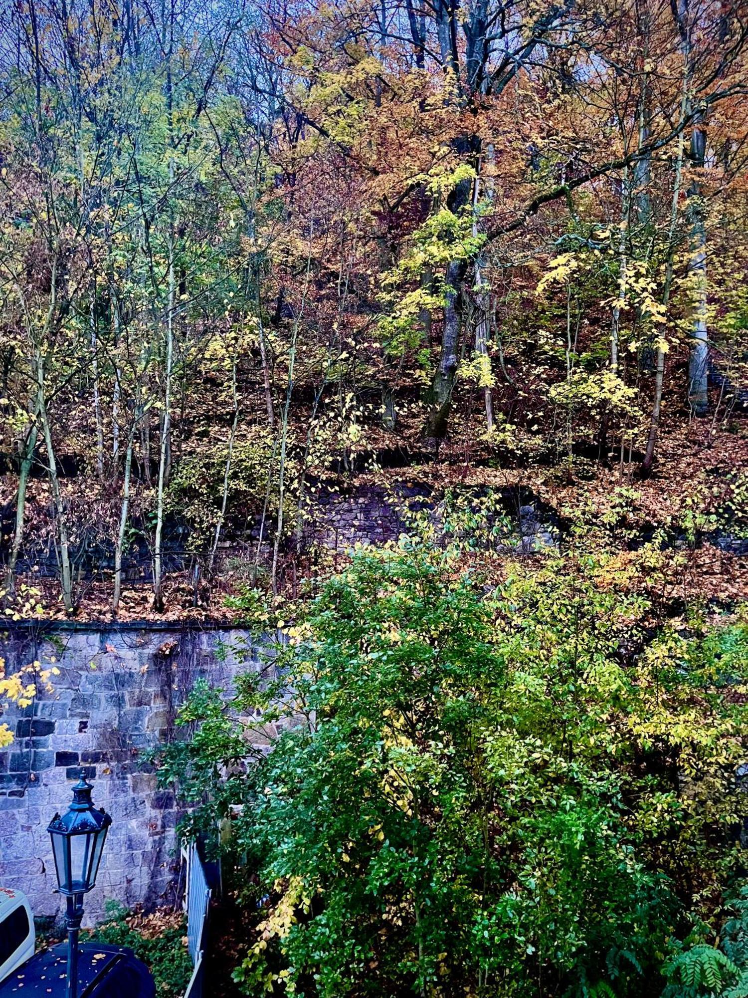 Bohemian City - Amazing View, Garage Karlovy Vary Exterior foto